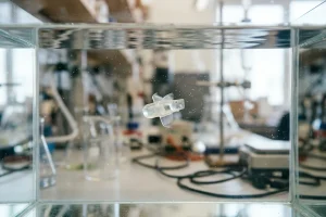 Científicos del MIT desarrollan un minúsculo robot que nada gracias a células musculares vivas